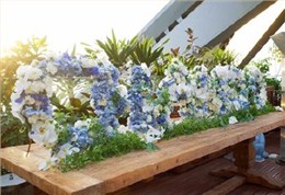 Joy Flower为芭莎活动设计以永生花蓝白颜色搭配的花球装饰会场